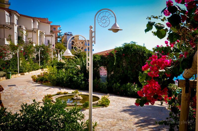 סרנדה Bougainville Bay Apartments מראה חיצוני תמונה