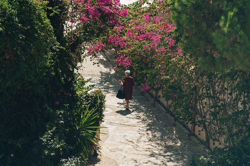 סרנדה Bougainville Bay Apartments מראה חיצוני תמונה